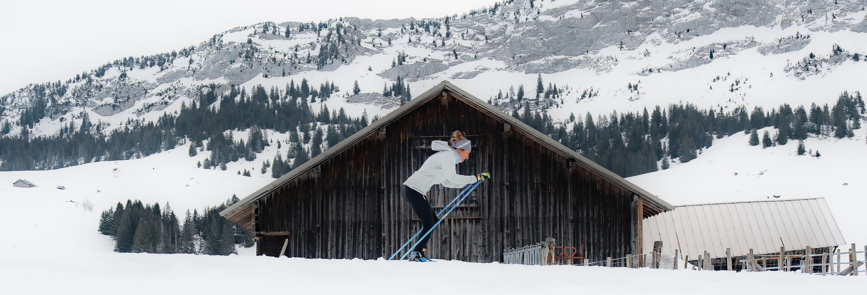 Marie-Laure Brunet